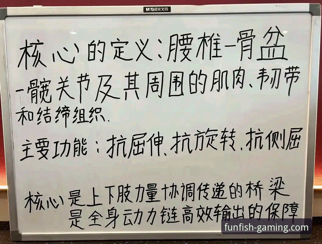 乐鱼体育app 一位资深用户的乐鱼体育平台深度体验:从入门到精通的实用心得